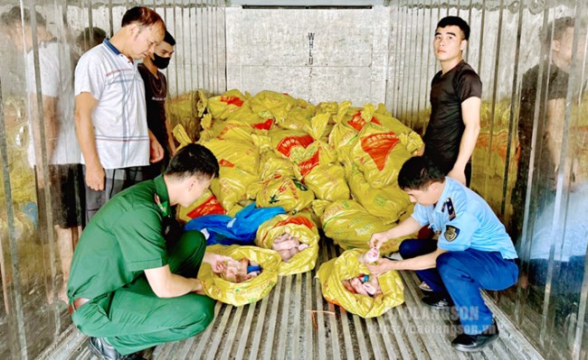 Tăng cường kiểm tra, ngăn chặn tình trạng buôn lậu, vận chuyển trái phép động vật, sản phẩm động vật qua biên giới vào Việt Nam (16/07/2024)